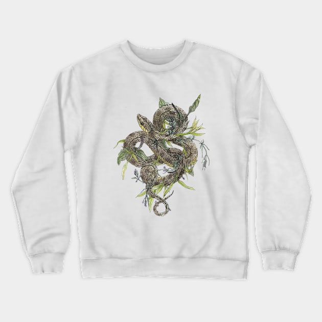 Gardener Snake Crewneck Sweatshirt by Munka